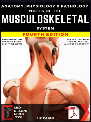 ANATOMY, PHYSIOLOGY AND PATHOLOGY NOTES OF THE MUSCULOSKELETAL SYSTEM FOURTH EDITION the booklance