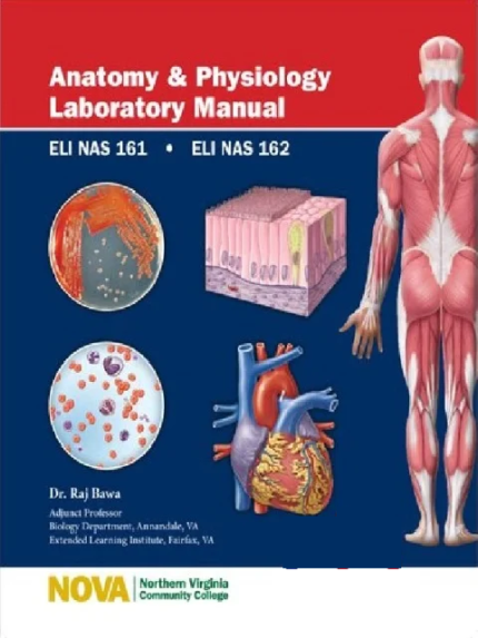 Anatomy & Physiology Laboratory Manual Eli Nas 161-162 the booklance