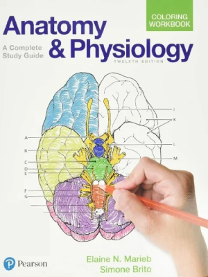 Anatomy and Physiology Coloring Workbook: A Complete Study Guide 12th Edition