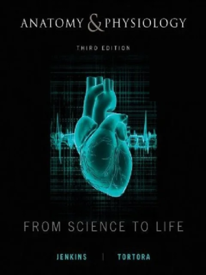 Anatomy and Physiology: From Science to Life 3rd Edition the booklance