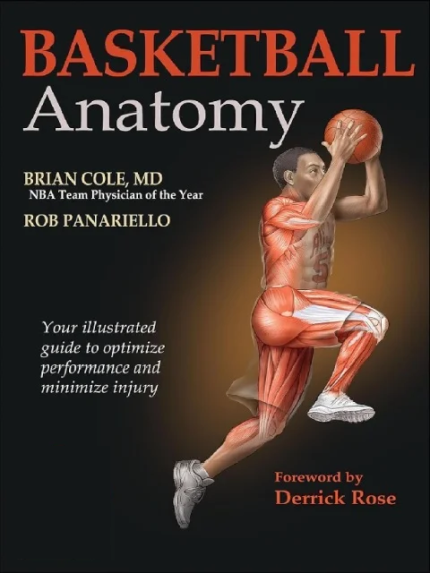 Basketball anatomy the booklance