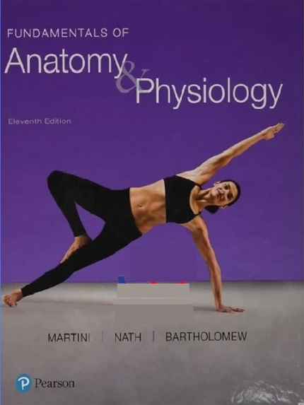 Fundamentals of Anatomy & Physiology 11th Edition the booklance