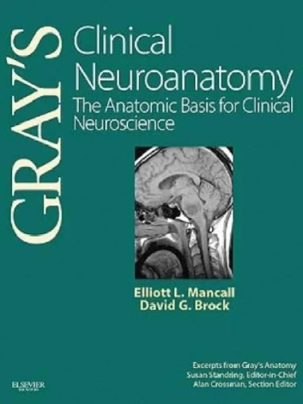 Gray’s Clinical Neuroanatomy: The Anatomic Basis for Clinical Neuroscience (Gray’s Anatomy) 1st Edition the booklance