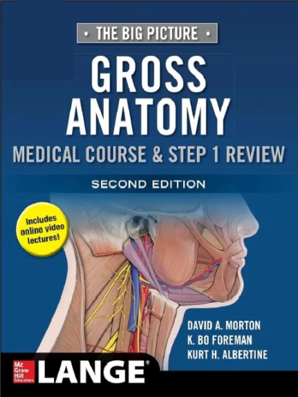 The Big Picture Gross Anatomy Medical Course & Step 1 Review 2nd Ed the booklance