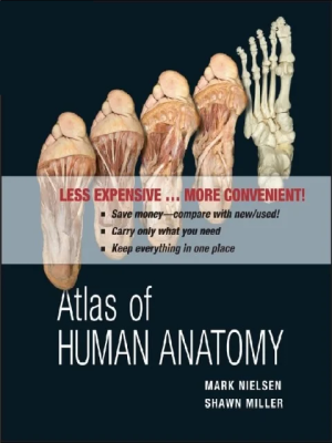 Atlas of Human Anatomy 1st Edition the booklance
