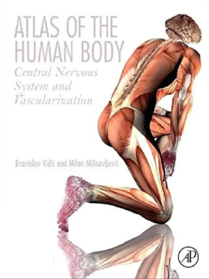 Atlas of the Human Body: Central Nervous System and Vascularization 1st Edition the booklance
